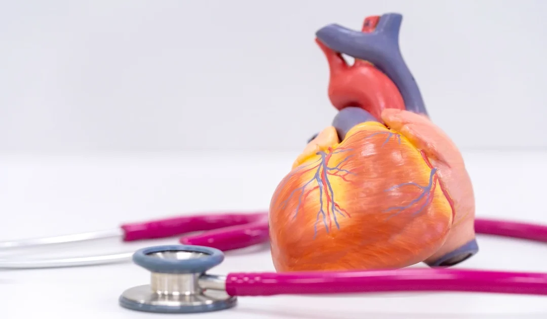 Wady zastawki mitralnej: przyczyny, objawy i leczenie